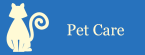 Pet Care Tag - Pet Clinic